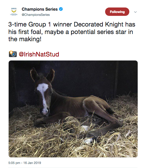 Decorated-Knight.png