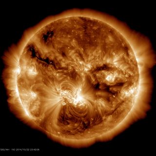 Largest Sunspot in 24 Years