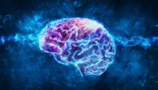 brain, electricity