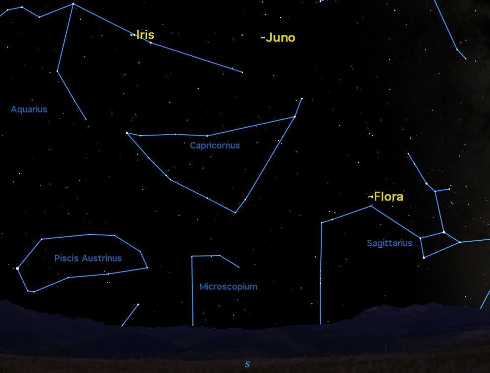 See Three Asteroids in the Night Sky This Month | Space