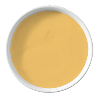 ginger yellow wall paint