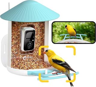 A yellow bird sits on the Netvue Birdfy smart bird feeder