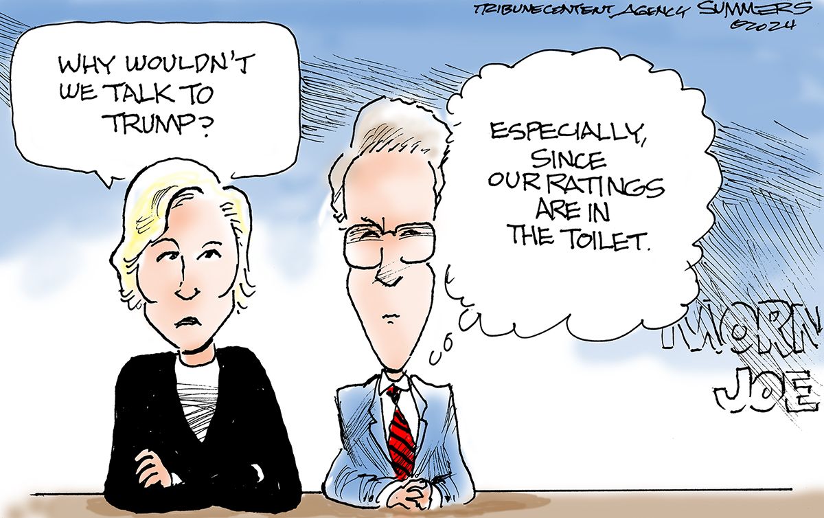 
                                Political cartoon
                            