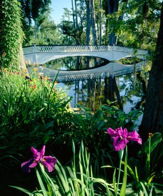 bridge over a lake at the Magnolia Plantation and Gardens in Charleston, South Carolina