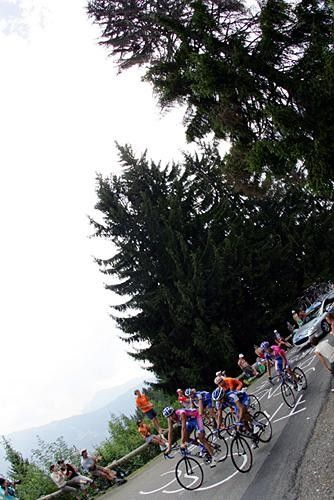 A small group makes it's way through the tall pines on the Joux-Plane.