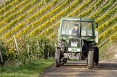 Weingut Emerich Koebernik, German Riesling