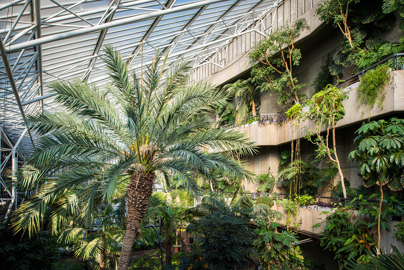 Brutalist Interiors, Barbican ConservatoryChamberlin, Powell and Bon, 1962–84London, United Kingdom