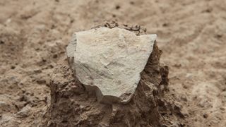 A stone tool unearthed at the Lomekwi 3 excavation site next to Lake Turkana in Kenya.