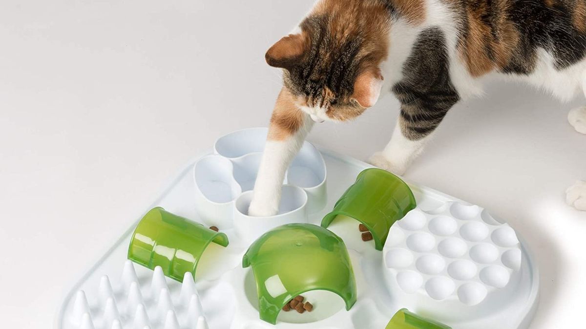 Cat puzzle feeder toy