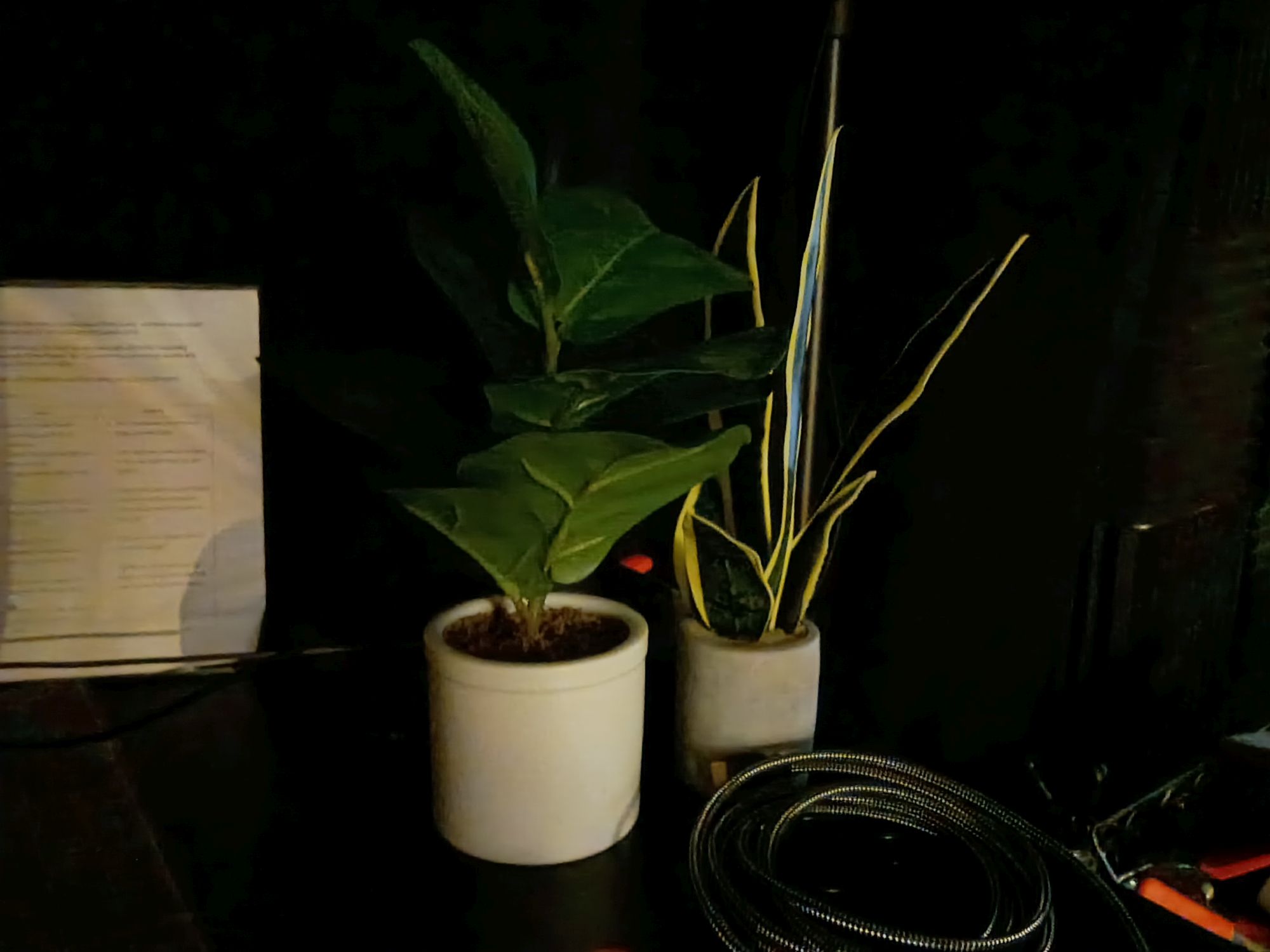 Motorola Moto G Play (2026) camera sample.