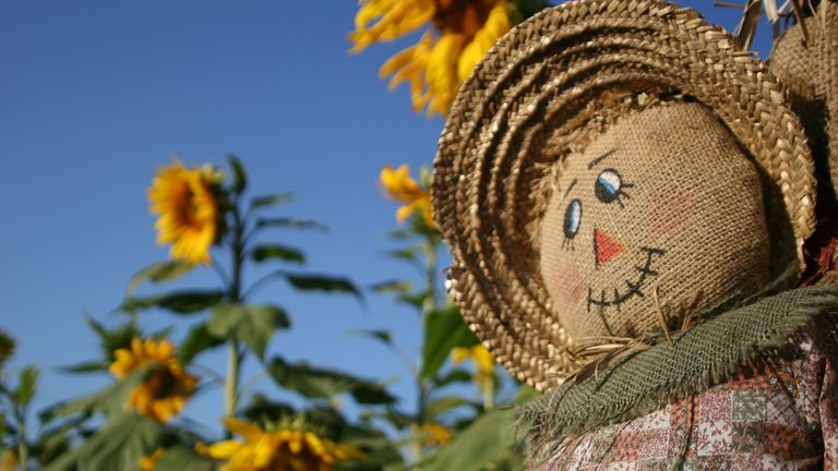 how to make a scarecrow