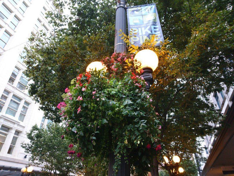 Xperia X Compact camera sample