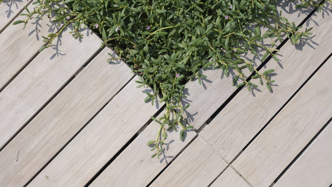 Decking