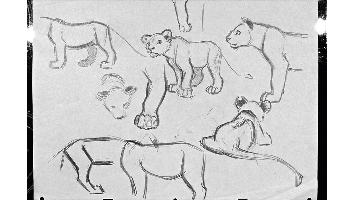 Aaron Blaise: Lions