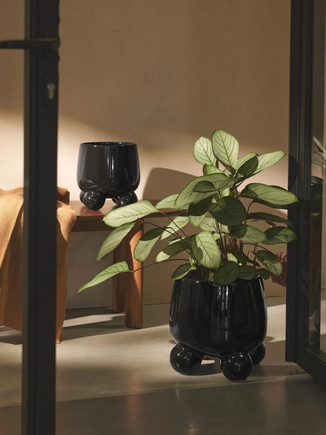 A glossy black planter from Westwing