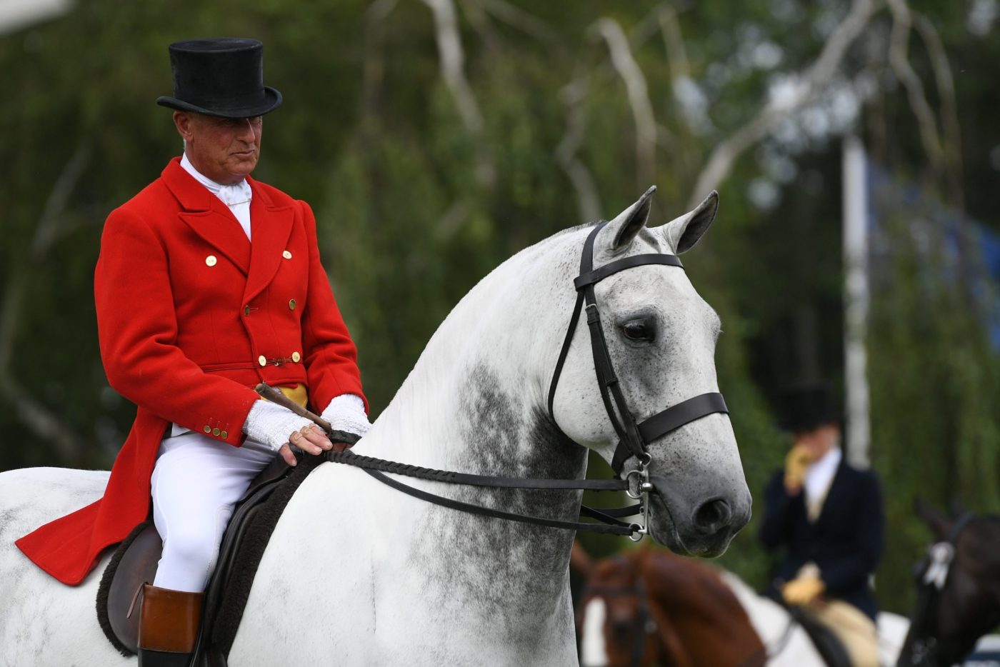 OUR-CASHEL-BLUE_RIHS_PN19_44630_327393441_535223072-scaled-e1582127233109.jpg