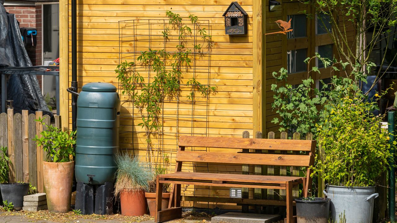 a water butt by a wooden shed in a garden with trellis and plant pots - Milos Ruzicka - GettyImages-1494799426