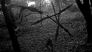 Blair Witch stick in The Blair Witch Project