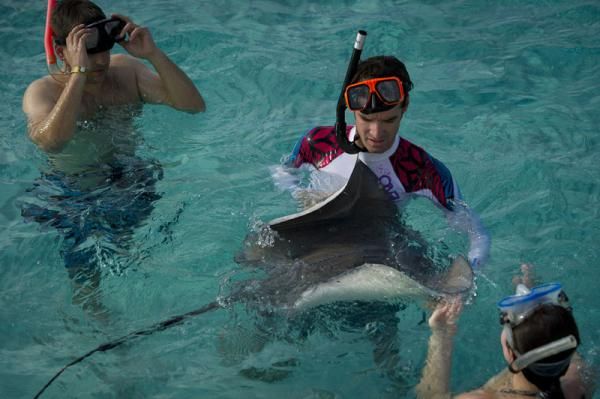 Millar gets up close and friendly with a stringray