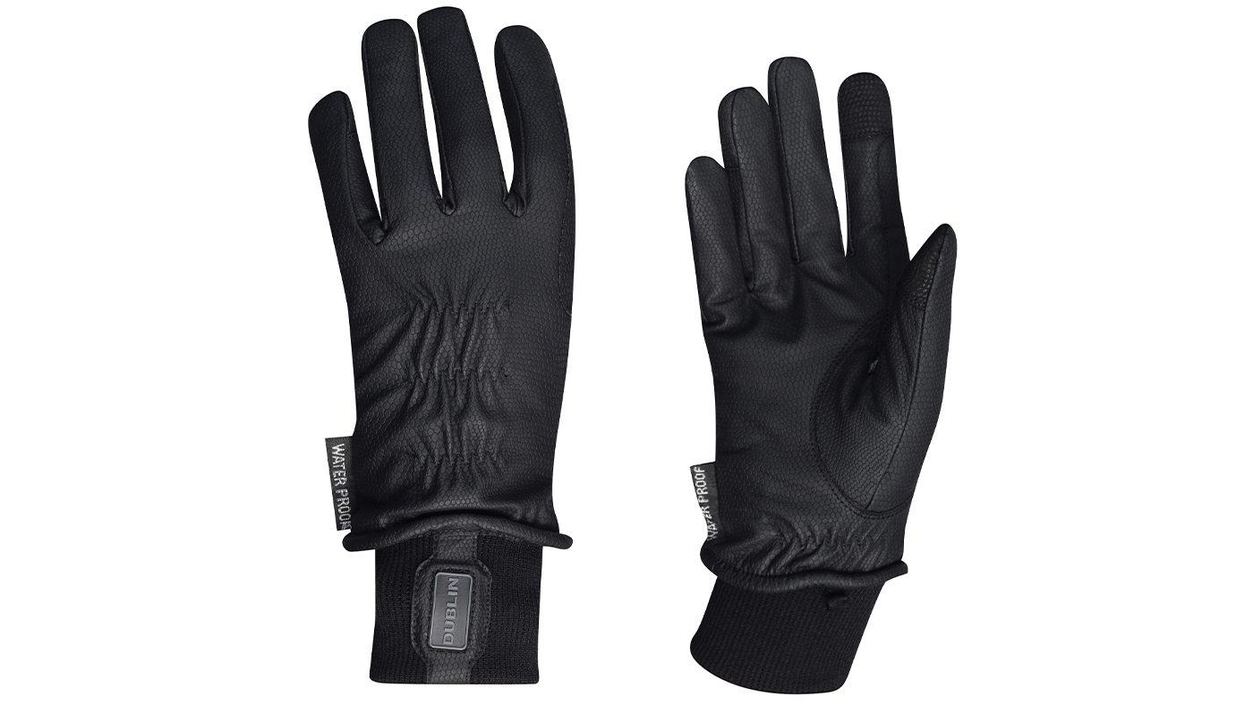 Dublin Synthetic Leather Thinsulate Waterproof Gloves