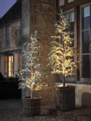 Two light-up Christmas trees outdoors