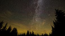 a long exposure shot showing a meteor over a forest with the Milky Way visible