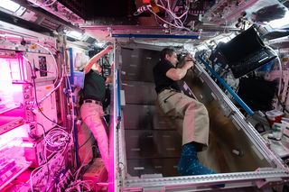 International Space Station astronauts preparing makeshift sleeping arrangements on April 7, 2021, several weeks ahead of the arrival of SpaceX's Crew-2 mission, which brought four new crewmembers to the orbiting lab on April 24, 2021.
