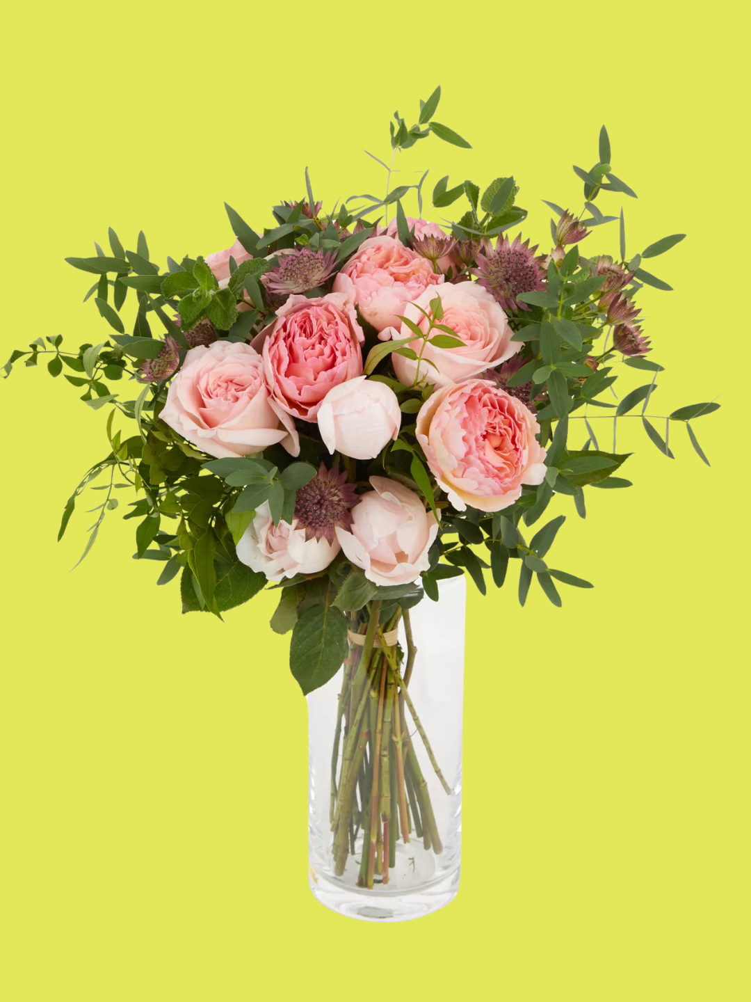 A vase of pink flowers and green stems from The Real Flower Company