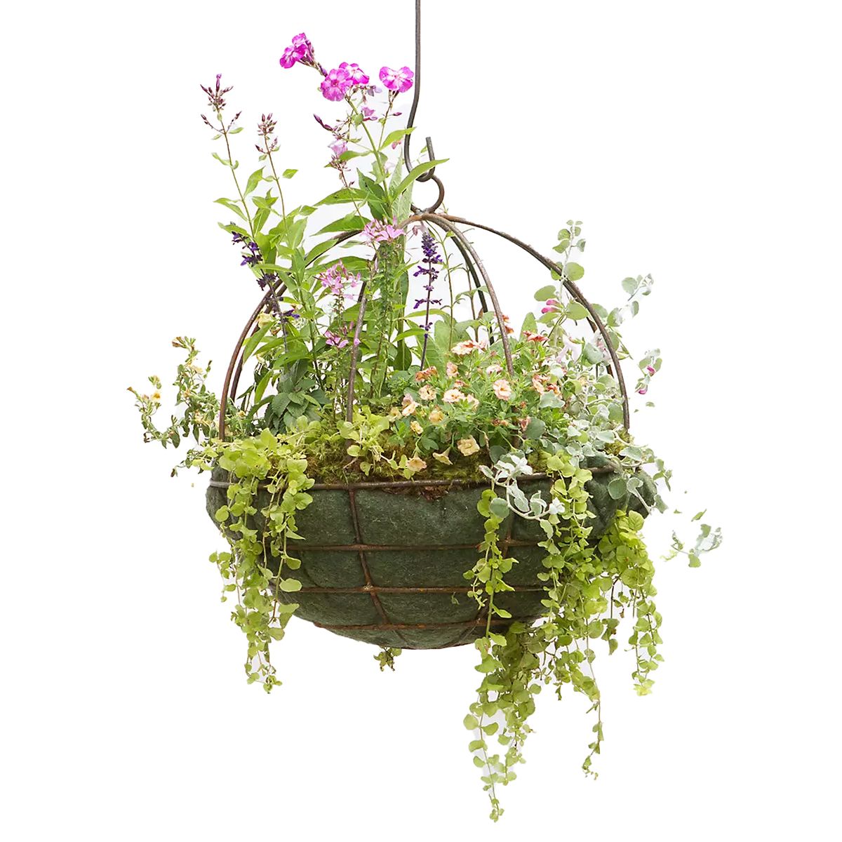 Terrain hanging basket cage