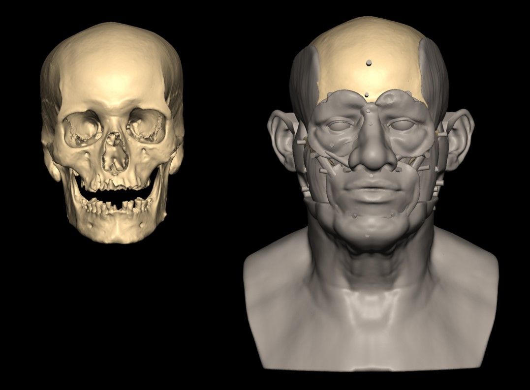 A digital facial reconstruction and the skull on which it's based.