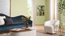 Living room painted in Sherwin-Williams Celery, with wooden floors, a boucle cream armchair, a velvet navy blue curved sofa, a low wooden coffee table and a large olive tree in the corner.