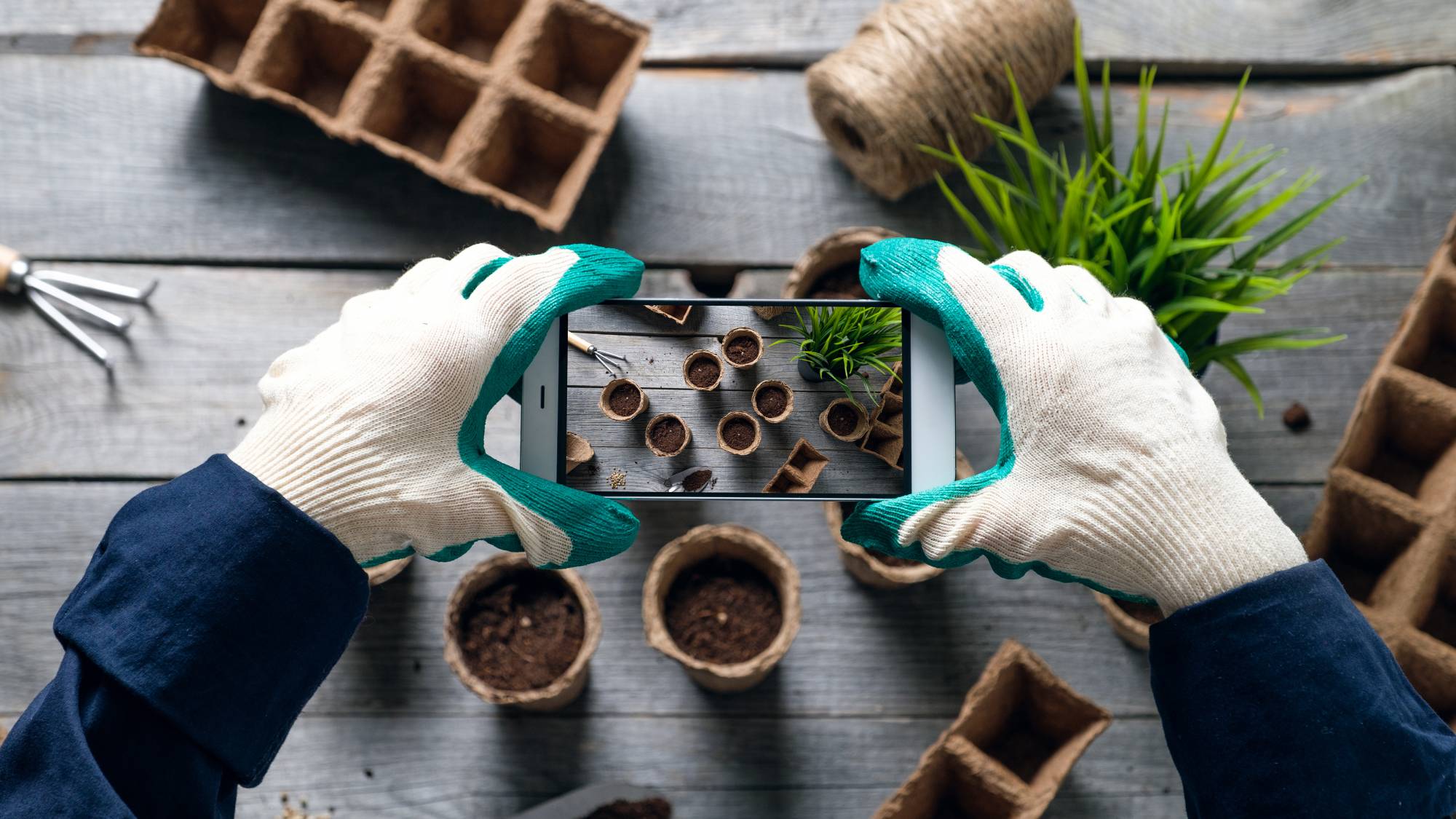 Gloved hands hold a phone over seedling pots to take a photo