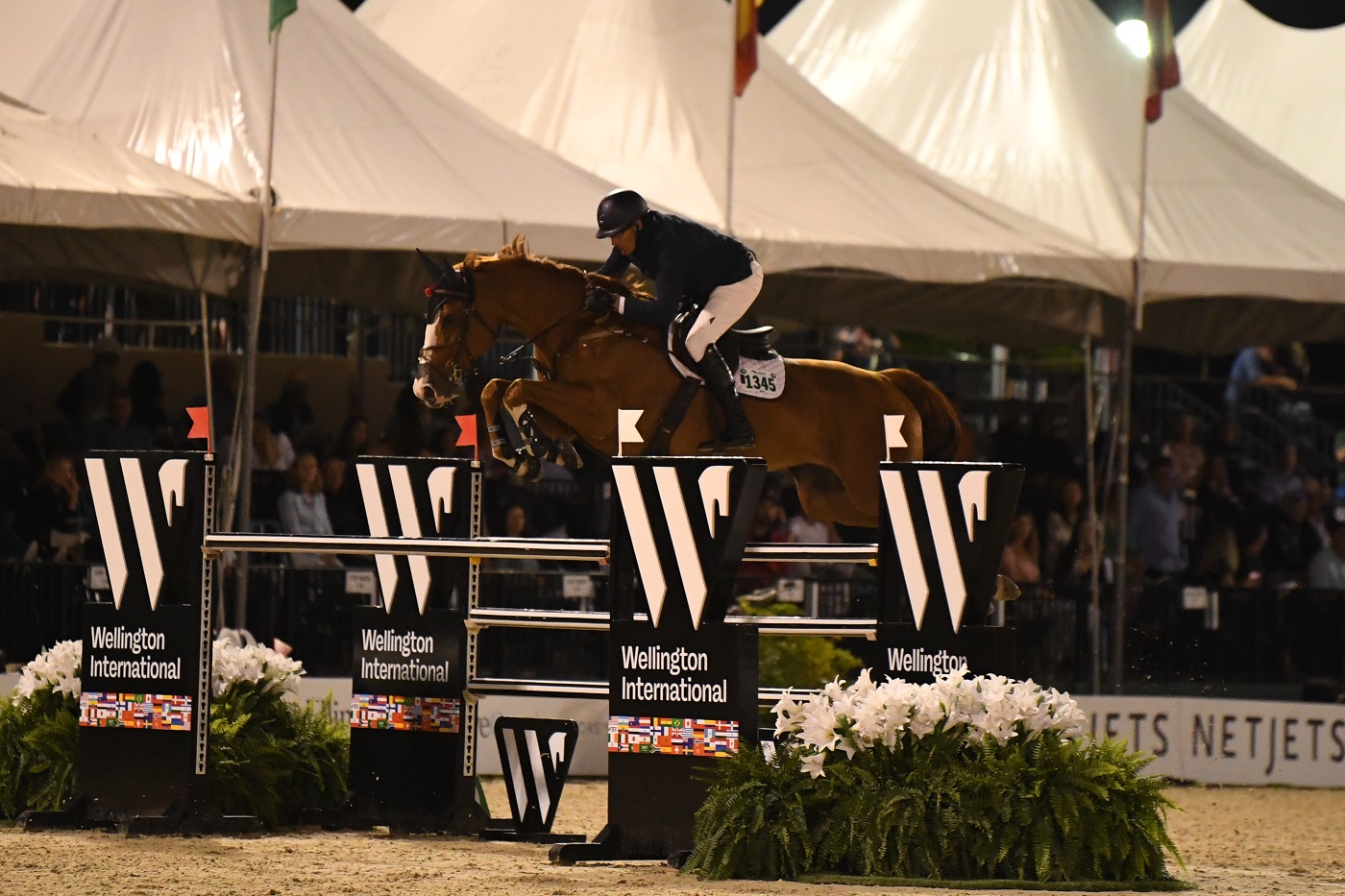 Paul O'Shea and Chancelloress jumping the newly-revealed signature fence at Wellington International