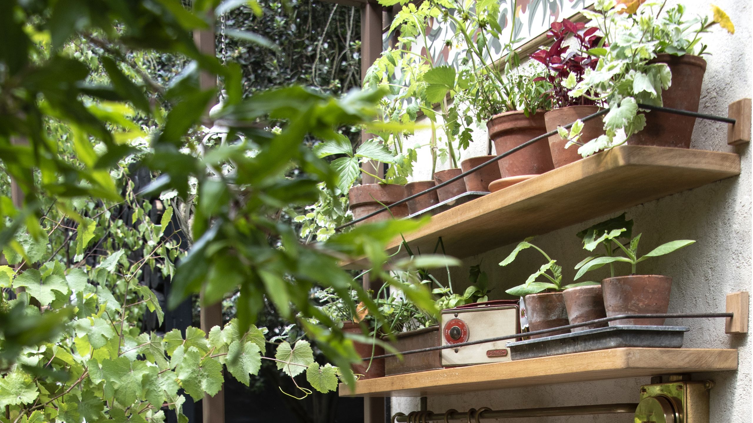 IKEA's $35 Tiered Shelf Doubles as a Clever Plant Stand to Create More Growing S...