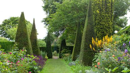 topiary in the shape of tree pyramids in a formal garden design