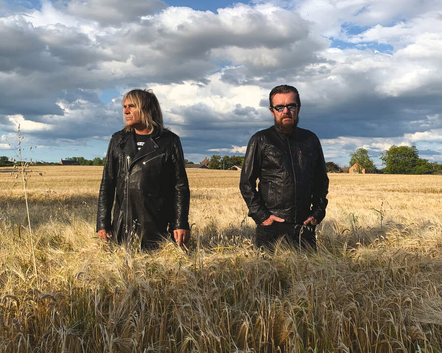 Coloursound standing in a field of wheat