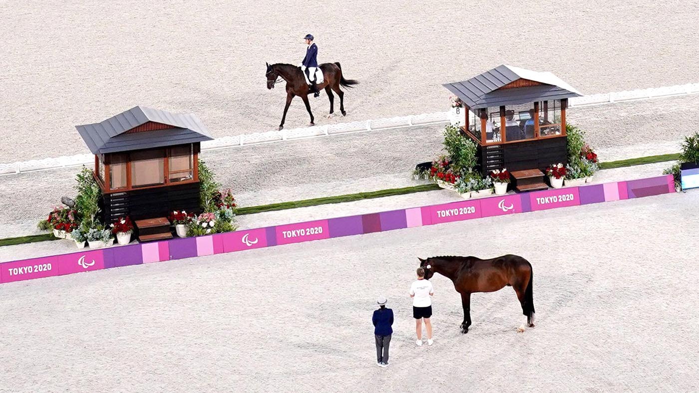friendly horses paralympics