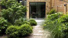 tall grasses and plants next to a timber fence line