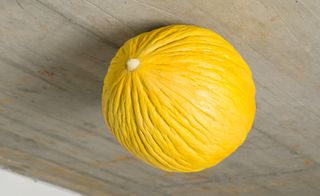yellow melon like sculpture