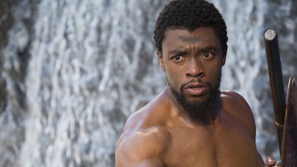 The Black Panther ending explained - 6 questions we need answered