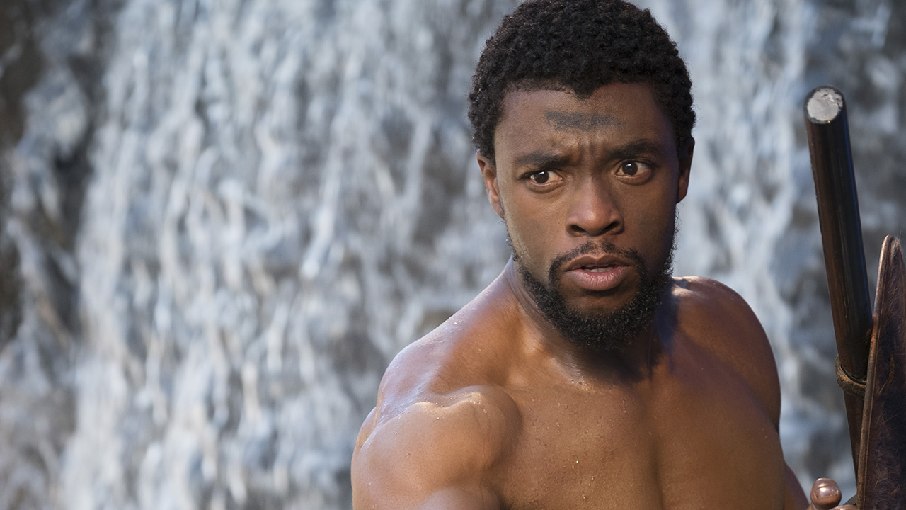 The Black Panther ending explained - 6 questions we need answered ...