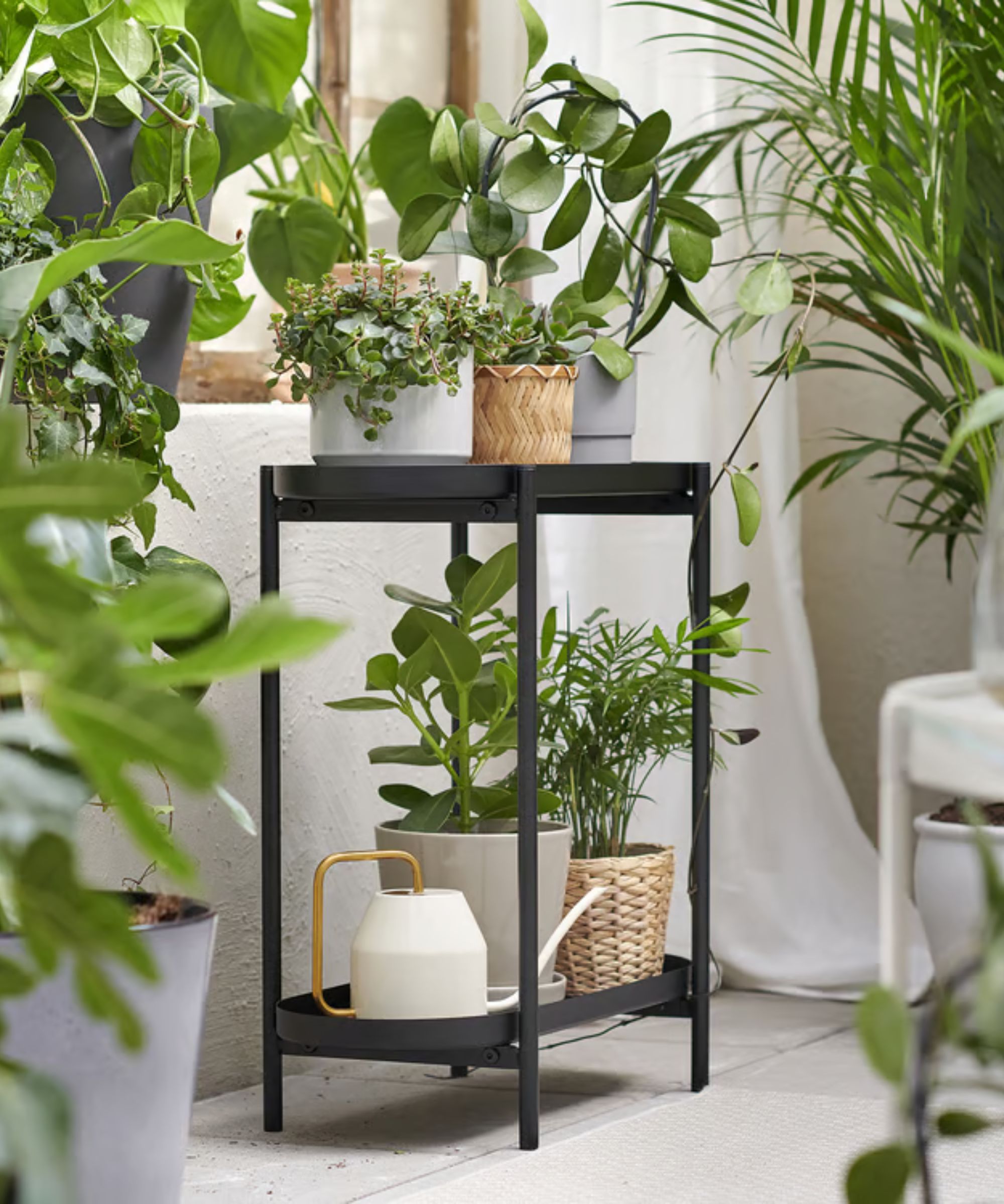 Black steel plant stand in a patio garden