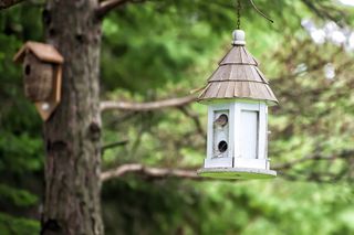 Winter garden ideas - birdhouse