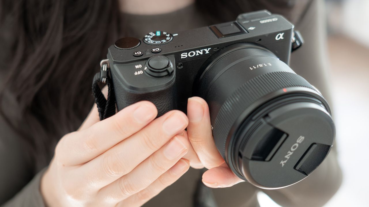 Sony a6600