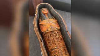 One of the coffins found in the newly discovered cemetery.