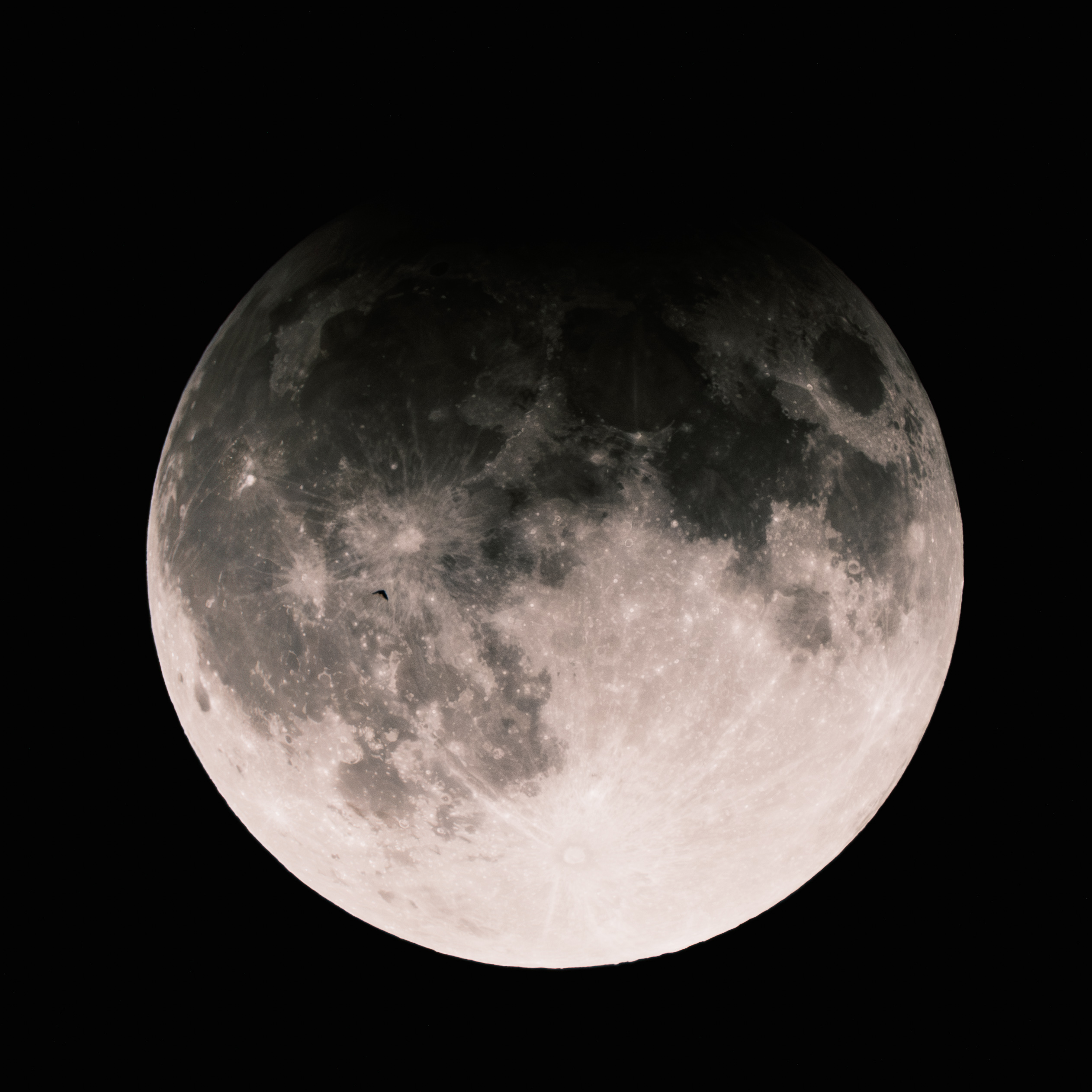 a close-up of the moon partially obscured by the Earth's shadow and a small bat flying over it.