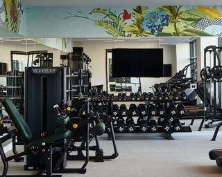 Basement gym idea with TV weight rack mirror wall and gym equipment