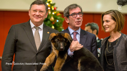 The puppy France was given by Russia.