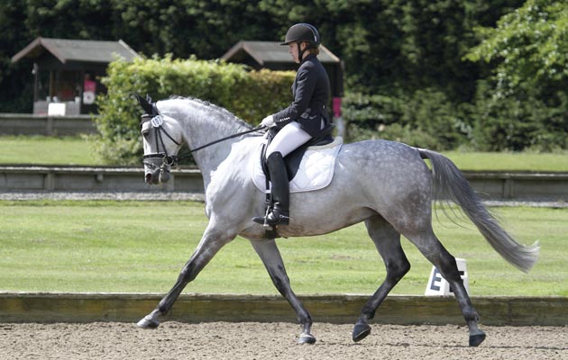 British Dressage changes