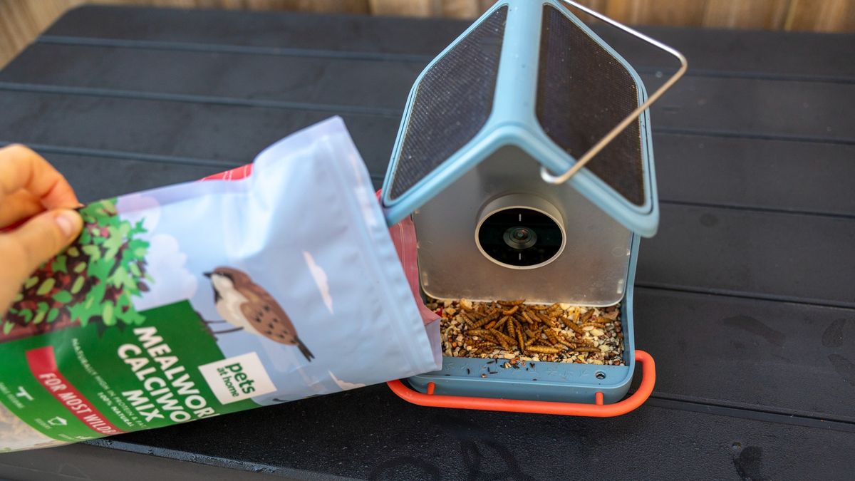 Refilling the Bird Buddy 2 with worms
